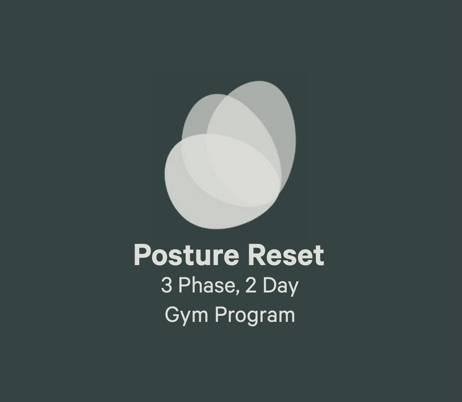 Posture Reset - 2 day, 12 week, gym program