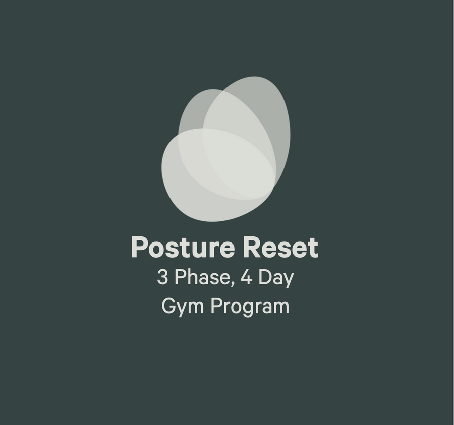 Posture Reset - 4day, 12 week, gym program