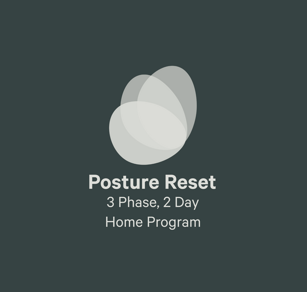 Posture Reset: 2 Day Home Program